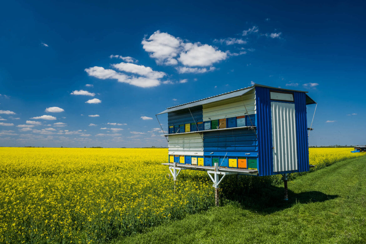 Bienenstockwagen als Tiny House in den Niederlanden