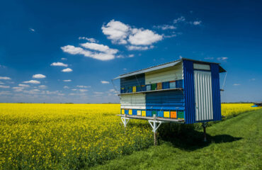 Bienenstockwagen als Tiny House in den Niederlanden